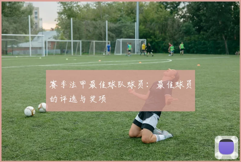 赛季法甲最佳球队球员：最佳球员的评选与奖项